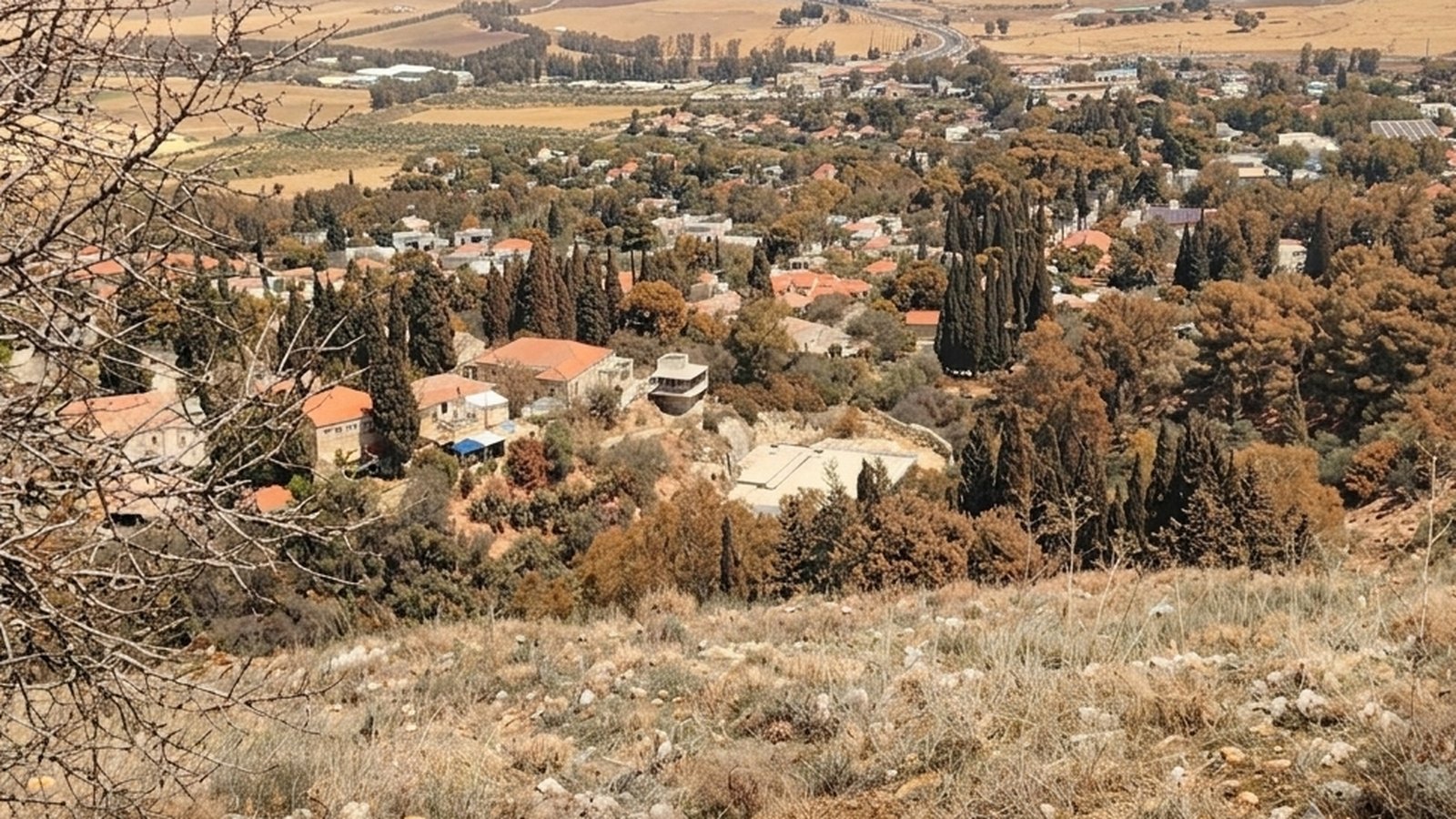הדמיה: ראש פינה לאחר שנים ללא השקיה, צהובה ומתה
