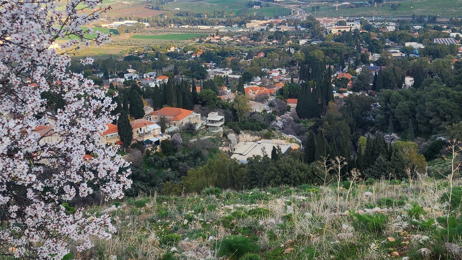 ראש פינה היום, ירוקה ופורחת